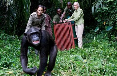 Jane Goodall, The Hope, Premiering on Earth Day - TRAVELINDEX