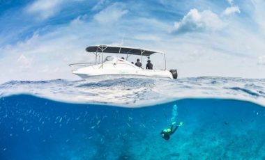 Alain Saint Ange Tourism Report Seychelles - Africa Tourism Task Force - TourismAfrica.org