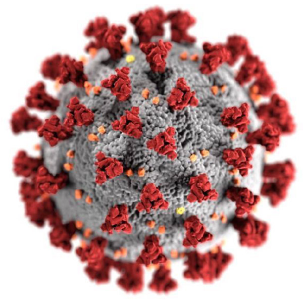 covid-19-virus illustration of Covid-19 virus