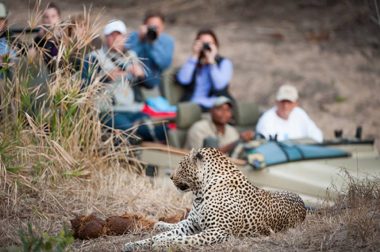 WTTC News - Urgent Appeal to International Community to Support African Travel and Tourism Sector - TOURISMAFRICA
