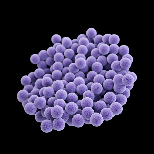 MRSA Medical Illustration 