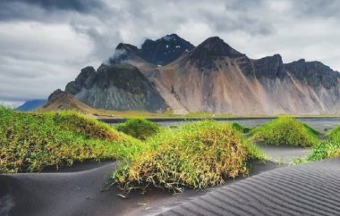 Travel Advisors Stress Importance of Health Certificates for Destinations - TRAVELINDEX