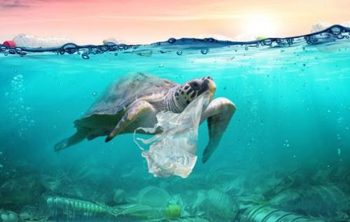 UNWTO: Tourism Sector to Continue Taking Action on Plastic Pollution - TRAVELINDEX