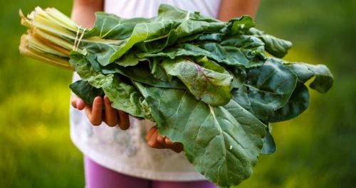 Leaders to Unlock More Sustainable and Equitable Food Future-TRAVELINDEX Leaders to Unlock More Sustainable and Equitable Food Future