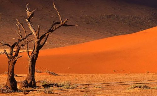 UNWTO in Namibia - First Visit to African Member State Since Start of the Pandemic - TRAVELINDEX