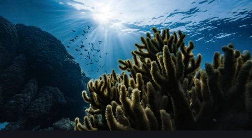 Collaboration and Environmental Protection Dominate Addresses at Davos Agenda-TRAVELINDEX Collaboration and Environmental Protection Dominate Addresses at Davos Agenda