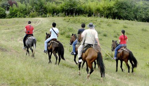 Startup Competition to Accelerate Rural Development Through Tourism-TRAVELINDEX Startup Competition to Accelerate Rural Development Through Tourism