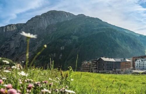 World Tourism Forum Lucerne Postpone its Innovation Festival-TRAVELINDEX World Tourism Forum Lucerne Postpone its Innovation Festival