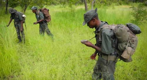 Africa Opens Discussion on Anti-Poaching Efforts-TOURISMAFRICA-TRAVELINDEX Africa Opens Discussion on Anti-Poaching Efforts