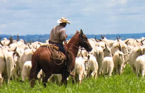 Rising Demand for Agricultural Products Pressure on Tropical Forest-CONSERVATIONWORLD-TRAVELINDEX Rising Demand for Agricultural Products Pressure on Tropical Forest