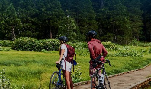 UNWTO Urgent Global Call for Commitment to Climate Action in Tourism-TRAVELINDEX UNWTO: Urgent Global Call for Commitment to Climate Action in Tourism