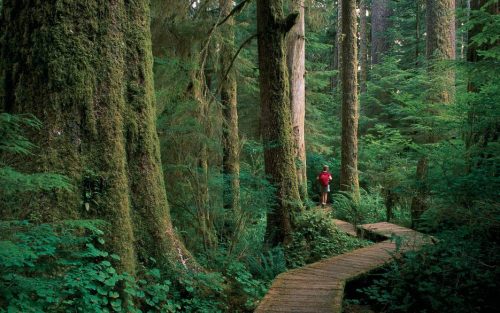 In Canada Doctors Can Now Prescribe a Visit to a National Park-TRAVELINDEX In Canada Doctors Can Now Prescribe a Visit to a National Park