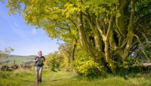 New Projects to Set Scottish Tourism Sector on Road to Net Zero-TRAVELINDEX-TRAVELANDTOURISMFOUNDATION New Projects to Set Scottish Tourism Sector on Road to Net Zero