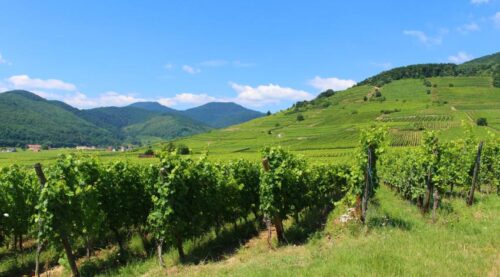 UNWTO - Taste of Sustainability on Agritourism, Food and Better Life - TRAVELINDEX
