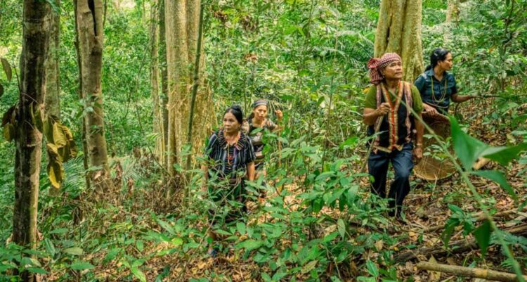 PATA Achieves Full Carbon Neutrality in 2024 - TRAVELINDEX