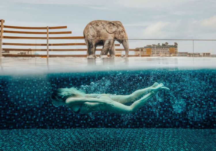 AMANOR Hotel Chiang Mai Introduces a New Chapter of Timeless Hospitality - TRAVELINDEX